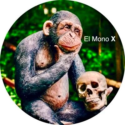 el_cuarto_mono's profile picture