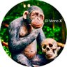 El Mono X's profile picture