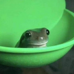 sahtel's profile picture