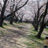 yukari/oita's profile picture