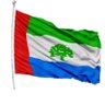 الصمصام العربي's profile picture