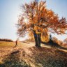 ENES profil fotoğrafı