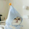 古月照今塵 profil fotoğrafı