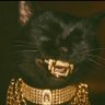 Chat Noir profil fotoğrafı