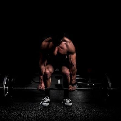 Muscle Hub's profile picture