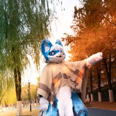 泠月→?'s profile picture