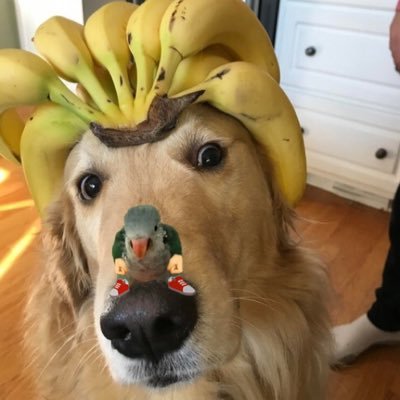boonrodofficial's profile picture