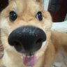 Фото профиля 俺のものはお前のもの