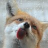 kiki johnson's profile picture