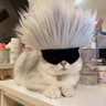Shmily's profile picture
