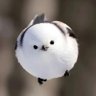 เตากบอ๊บ 的头像