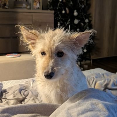 eee__rock's profile picture