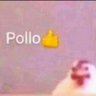Pollo's profile picture