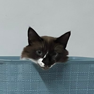Hello! I’m Dyeana's profile picture