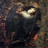 💀 MorbidParamour 🖤's profile picture