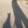 Szarmancki Piotr profil fotoğrafı