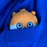 さしみちゃん® 的头像