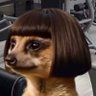 Giorgia 🫧💐🐶 Camillo Don Carmelo's profile picture
