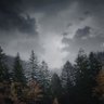 Lisa's profile picture