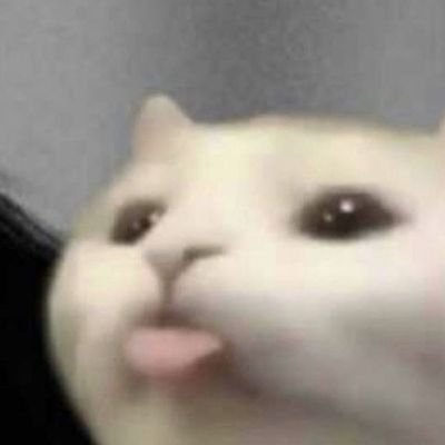 ִ ࣪𖤐's profile picture