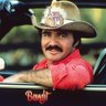 Bayou Bandit's profile picture