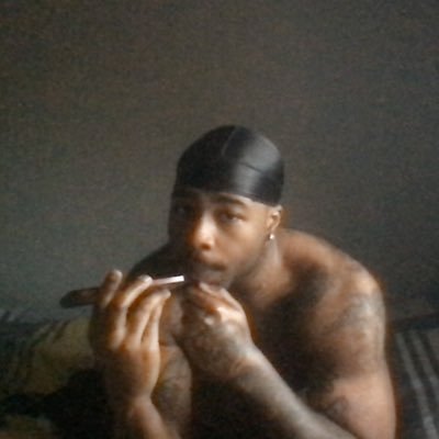 westendviews's profile picture