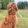 Jacob Parker profil fotoğrafı