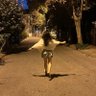 Фото профиля Beyza