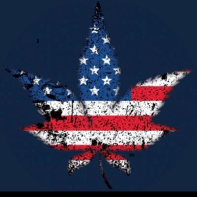 todd_harrison's profile picture