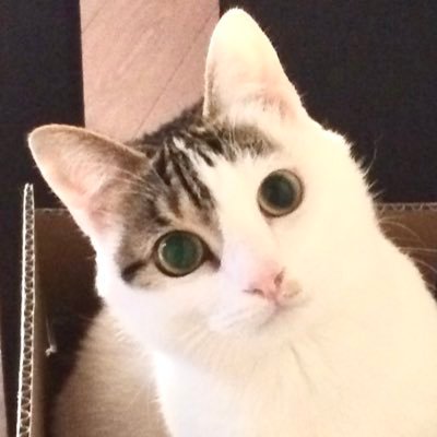 lyKhcUZsmo0hC8U's profile picture