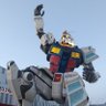 アルノヴェローチェ profil fotoğrafı