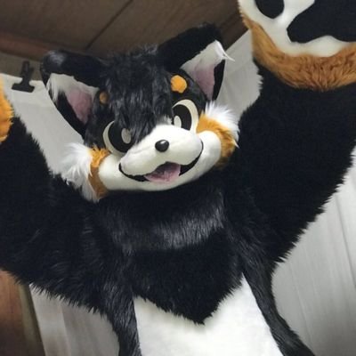 アラザン's profile picture