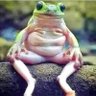 Lee's profile picture
