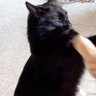 Tobi 的头像