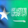 Saadaq Yare's profile picture