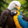 SoyResistencia🇻🇪's profile picture