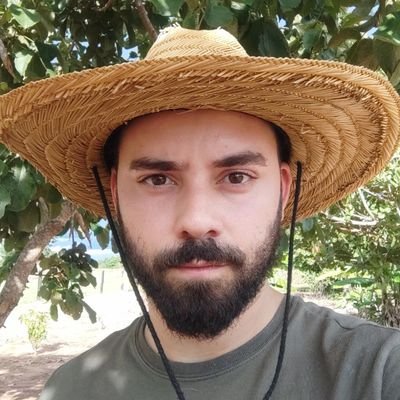 pequi roído's profile picture