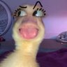Profilbild von Clara_ShugaSalt