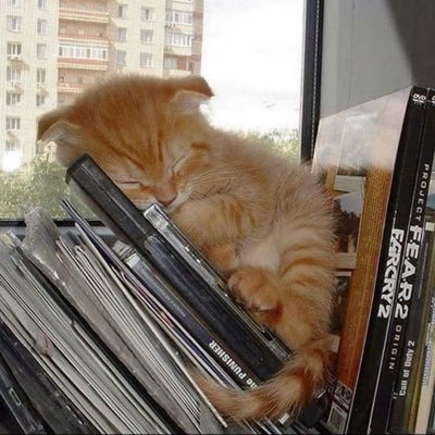 roseonfilm's profile picture
