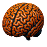 Useful Reviewer's profile picture