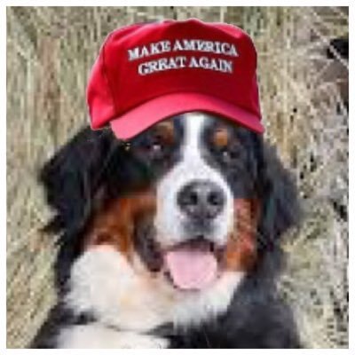 John D's profile picture