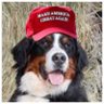 John D's profile picture