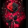Lady di 81 profil fotoğrafı
