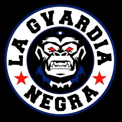 LA GVARDIA NEGRA's profile picture