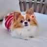 Rosie_puff's profile picture