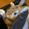 ユウマ_サン profil fotoğrafı