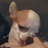 Bob 的头像
