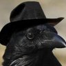 Crow profil fotoğrafı