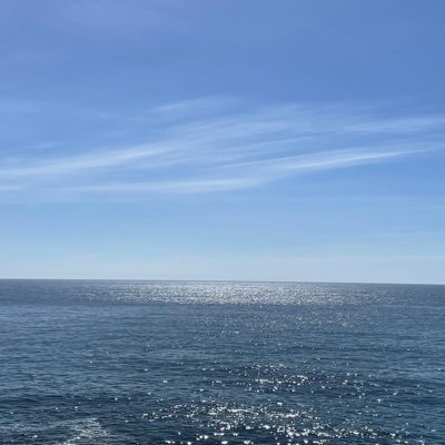 José Luis Casamor's profile picture