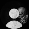FLIP's profile picture